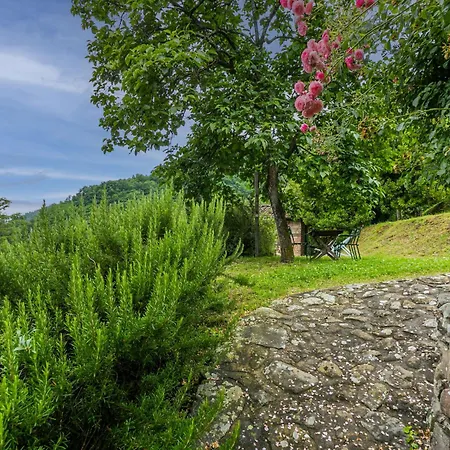 Podere Piastriccio - Apt-piccolo By Interhome Tatil Evi *